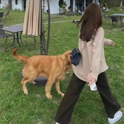 乱世微光
